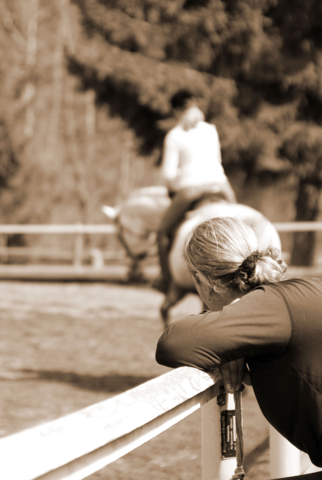 Horseback riding lessons