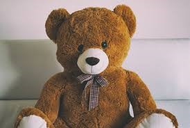 teddy bear teddy bear